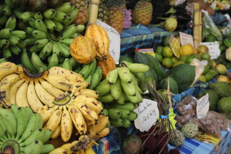 Real Numbers, Real Tonga: How to Live Well in the Kingdom for $150 a Day or Less