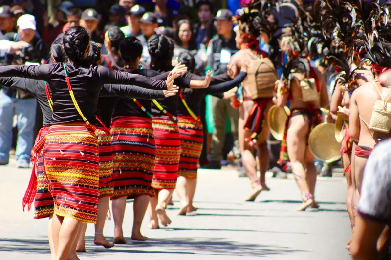 Plan Your Trip Around Tonga's Best Celebrations: A Month-by-Month Festival Guide