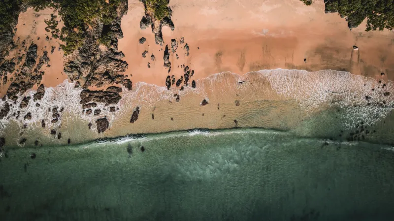 Why the 'Wrong' Time to Visit Tonga Might Actually Be Perfect for You
