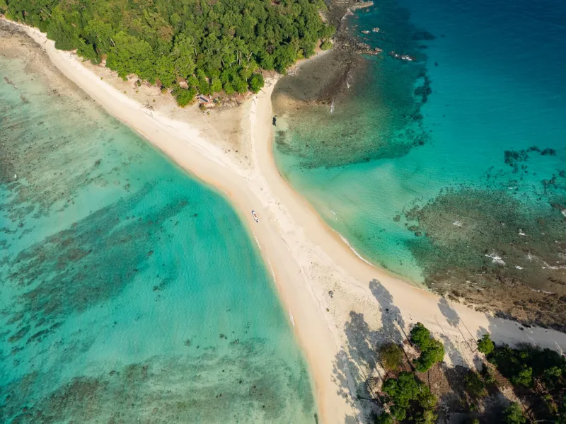 Still Booking Hawaii Every Year? Here Are 7 Reasons Tonga Deserves a Spot on Your Pacific Radar